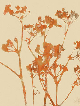 Romantische wilde bloemen in terracotta en wit