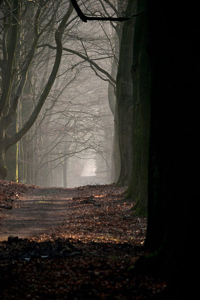Veluwezoom van Arno-Jan Boere