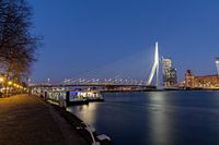 Erasmusbrug Rotterdam
