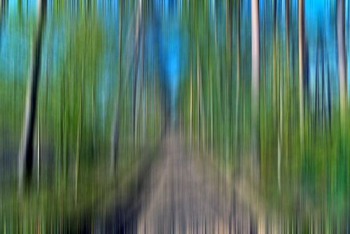 Dreamy feeling in the autumnal pine forest - Abstraction by Silva Wischeropp