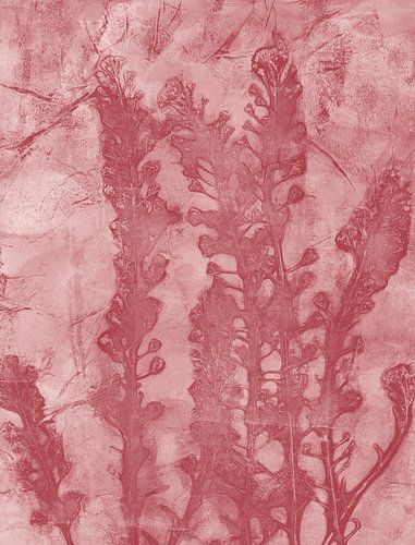 Beauté botanique naturelle. Plantes d'un rouge chaud.