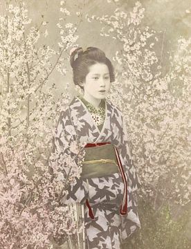 Geisha in kersenbloesem van Affect Fotografie