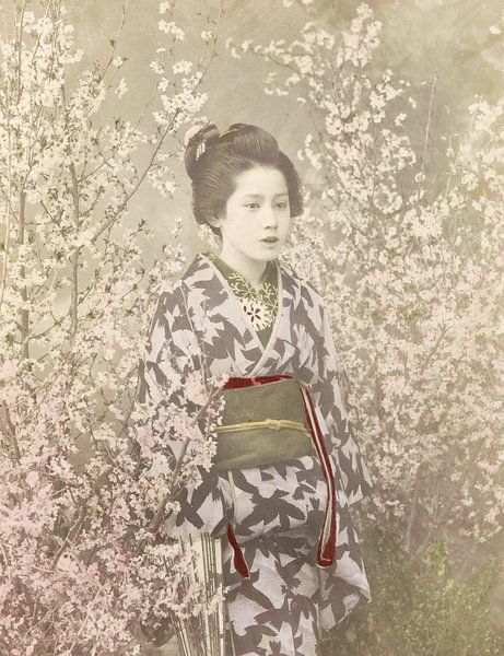 Geisha in Kirschblüte von Affect Fotografie