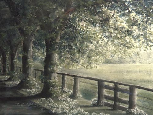 Lente - paddock - laan