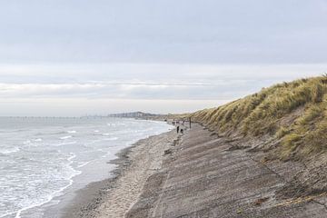 Op het strand van Driek Steegmans