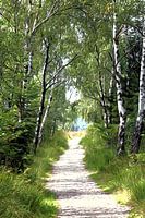 The way