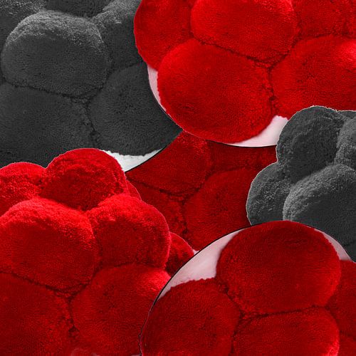 Bollen hats from the Black Forest 2.0