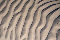 Sandmuster am Strand durch den Wind, der über den Sand bläst von Sjoerd van der Wal Fotografie Miniaturansicht