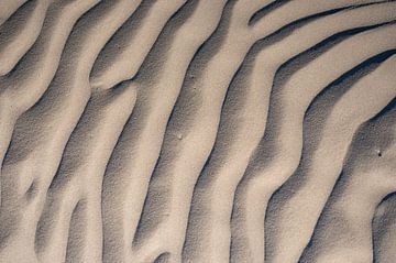 Sandmuster am Strand durch den Wind, der über den Sand bläst von Sjoerd van der Wal