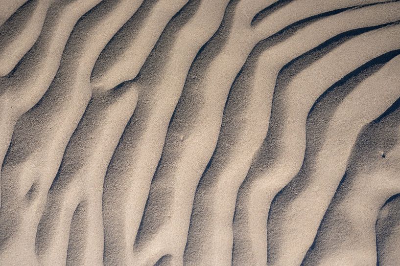 Sandmuster am Strand durch den Wind, der über den Sand bläst von Sjoerd van der Wal Fotografie