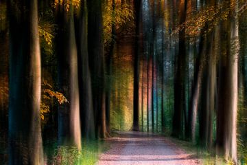 Gekleurd bos van Jacq Christiaan