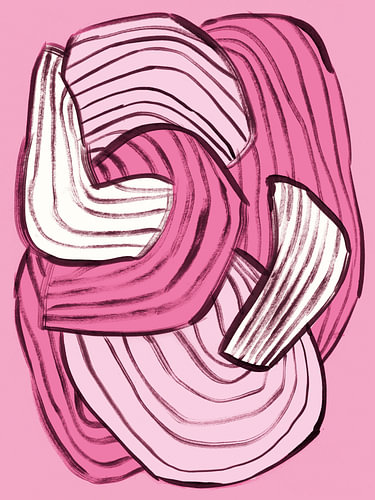 Samenvatting: Pink Flow