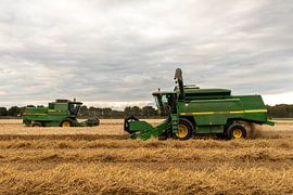 Battage du blé avec 2 moissonneuses-batteuses John Deere