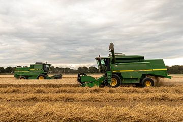 Wheat threshing with 2 John Deere combines by Cilia Hoekman