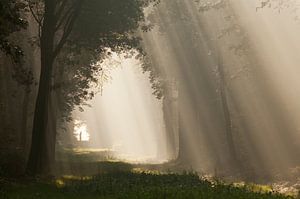 To the light... I