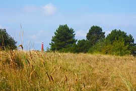 Vuurtoren van Schiermonnikoog by 123 Schier