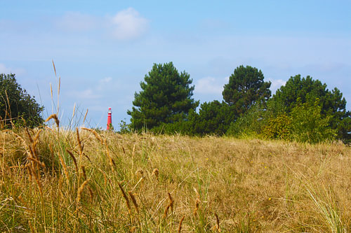 Vuurtoren van Schiermonnikoog