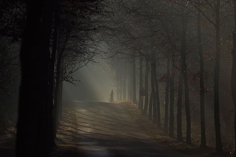 De mist in by A W