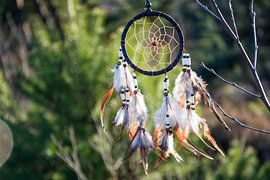 Dromenvanger by Marjolijn Barten