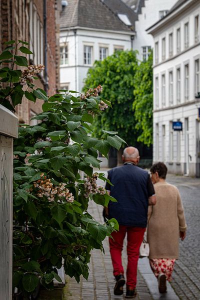 Promenade dans les rues de Bruges par Eddy Smets