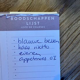 Anne Groenendaal Profilfoto