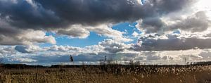 Hollandse Landschappen Panorama