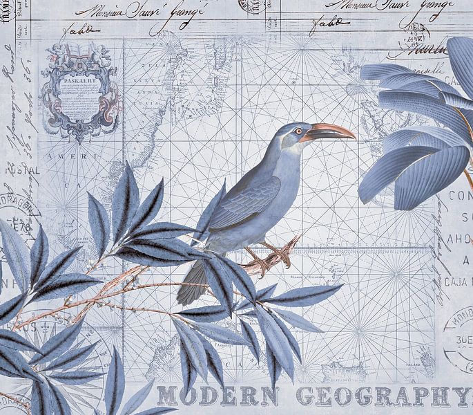 Nostalgische Reise Der Vögel von Andrea Haase