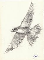 Vrije Vogel