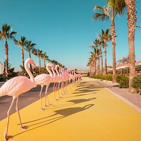 Reihe von rosa Flamingos von Patricia Hofmeester