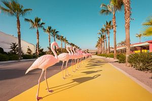 Reihe von rosa Flamingos