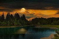 THE LAKE