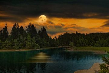 THE LAKE by Markus Moser