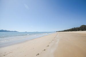Des pas sur une plage tropicale