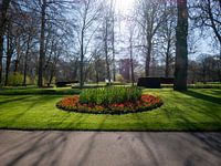 Tulpenbeet im Keukenhof