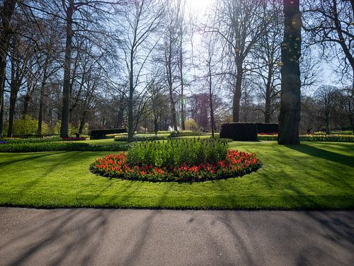 Tulpenperkje in de Keukenhof