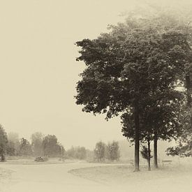 Een mistige morgen in september. van Wunigards Photography