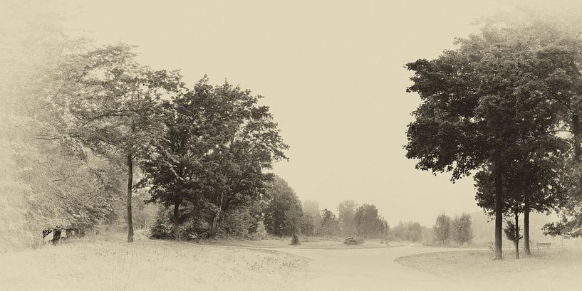 Ein nebliger Morgen im September. von Wunigards Photography