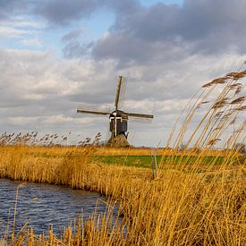 Hollandse molen, luchten en rietkragen sur Brigitte Alphenaar