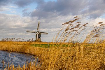 Hollandse molen, luchten en rietkragen von Brigitte Alphenaar