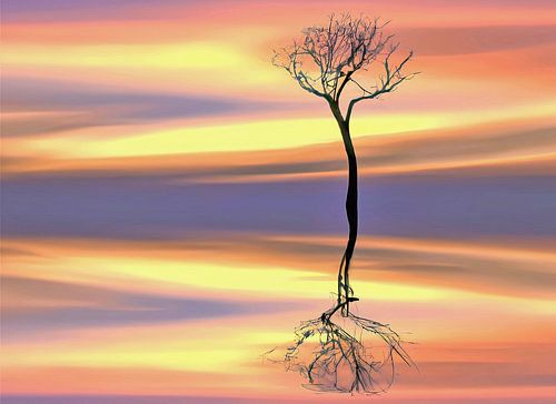 Silhouette d'arbre réfléchissante au crépuscule