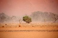 NAMIBIA ... through the storm III par Meleah Fotografie Aperçu