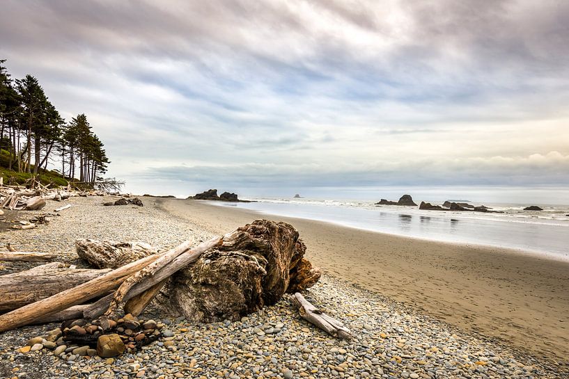 Ruby Beach on the spectacular west coast of the United States in Washington State by Rob IJsselstein