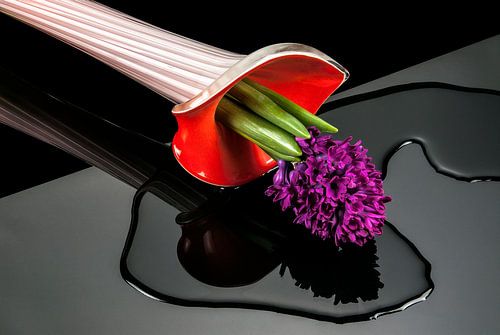 omgevallen vaas met hyacint