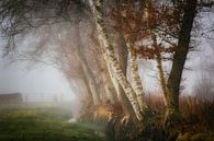Paysage en bordure de forêt avec fossé et clôture dans le brouillard par Peter Bolman Aperçu