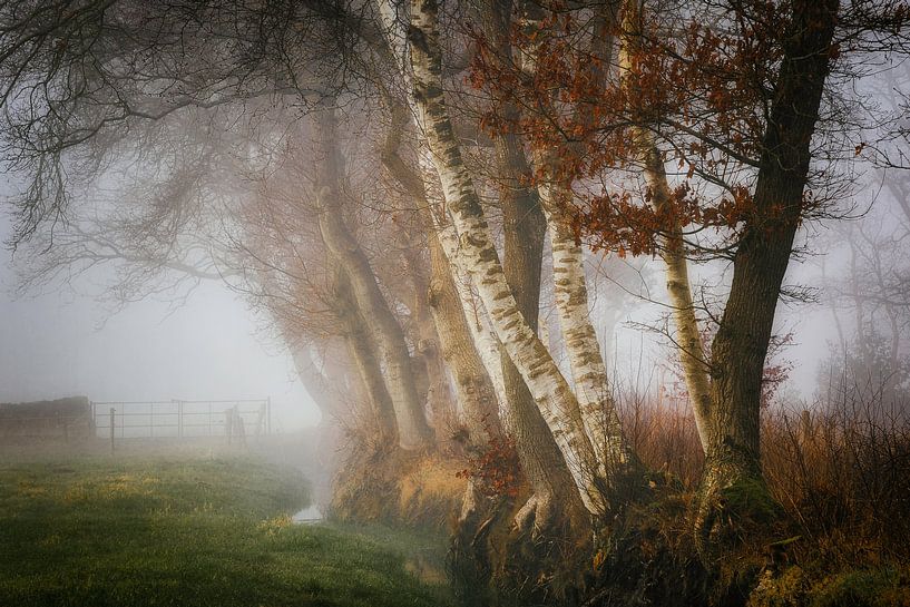 Paysage en bordure de forêt avec fossé et clôture dans le brouillard par Peter Bolman