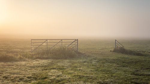 Polder landscape