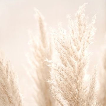 Pampas Riet van Monika Strigel