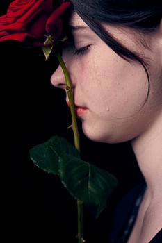 Die Maske hinter der Rose