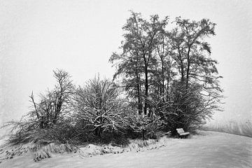 Winter idylle @ Wijlre van Rob Boon