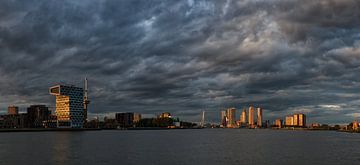 Die Nacht bricht in Rotterdam von Lex Schulte